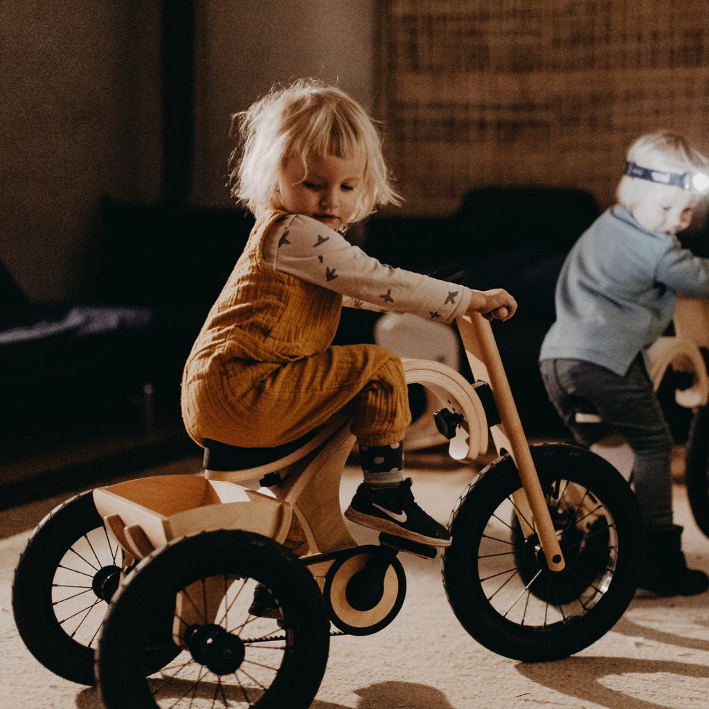 Tricycle Add-on for the leg&go Balance Bike 3in1